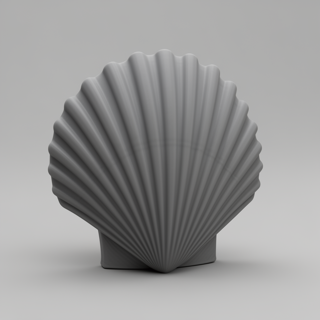 Closed Scallop Shell Model STL – Free 3D Print Model | Remeshy