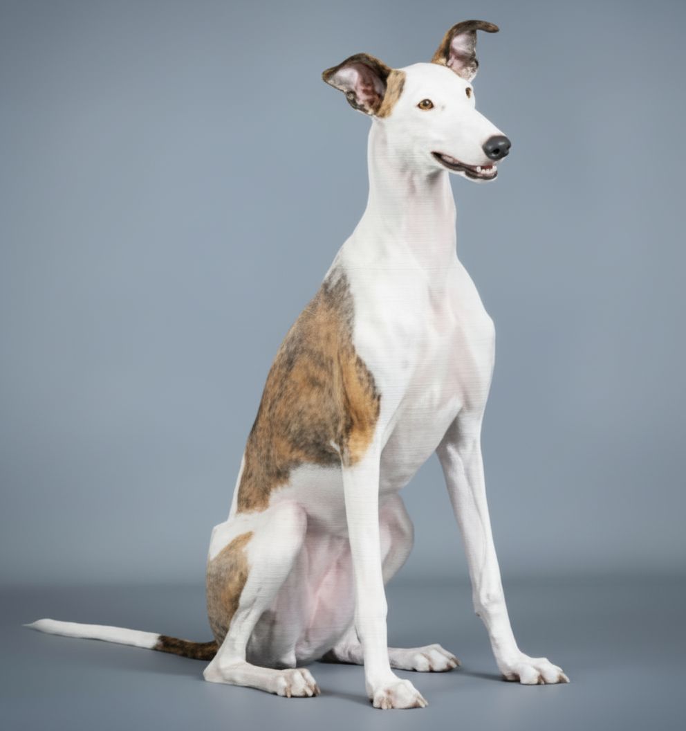 Stylish Greyhound Model STL – Free 3D Print Model | Remeshy